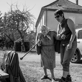 Nettoyage du terrain - Coupe du bois - 29 03 17