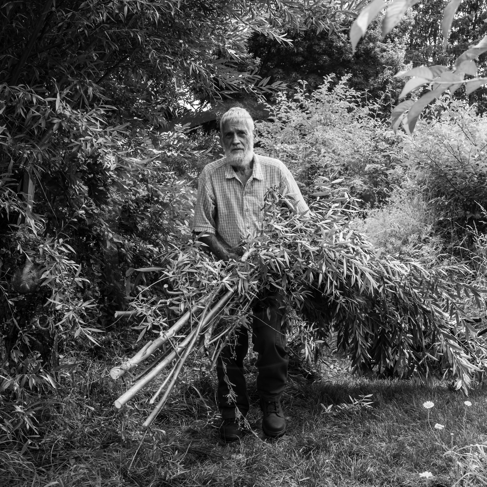 Promenades au jardin