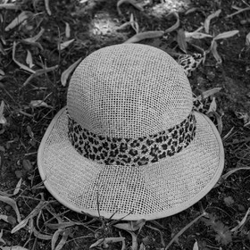 06 juillet 2022 : Sieste Musicale