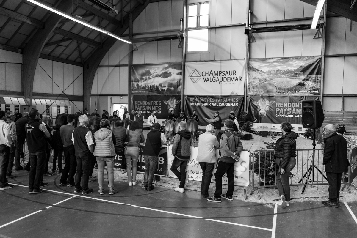 Rencontres paysannes à Saint-Bonnet en Champsaur